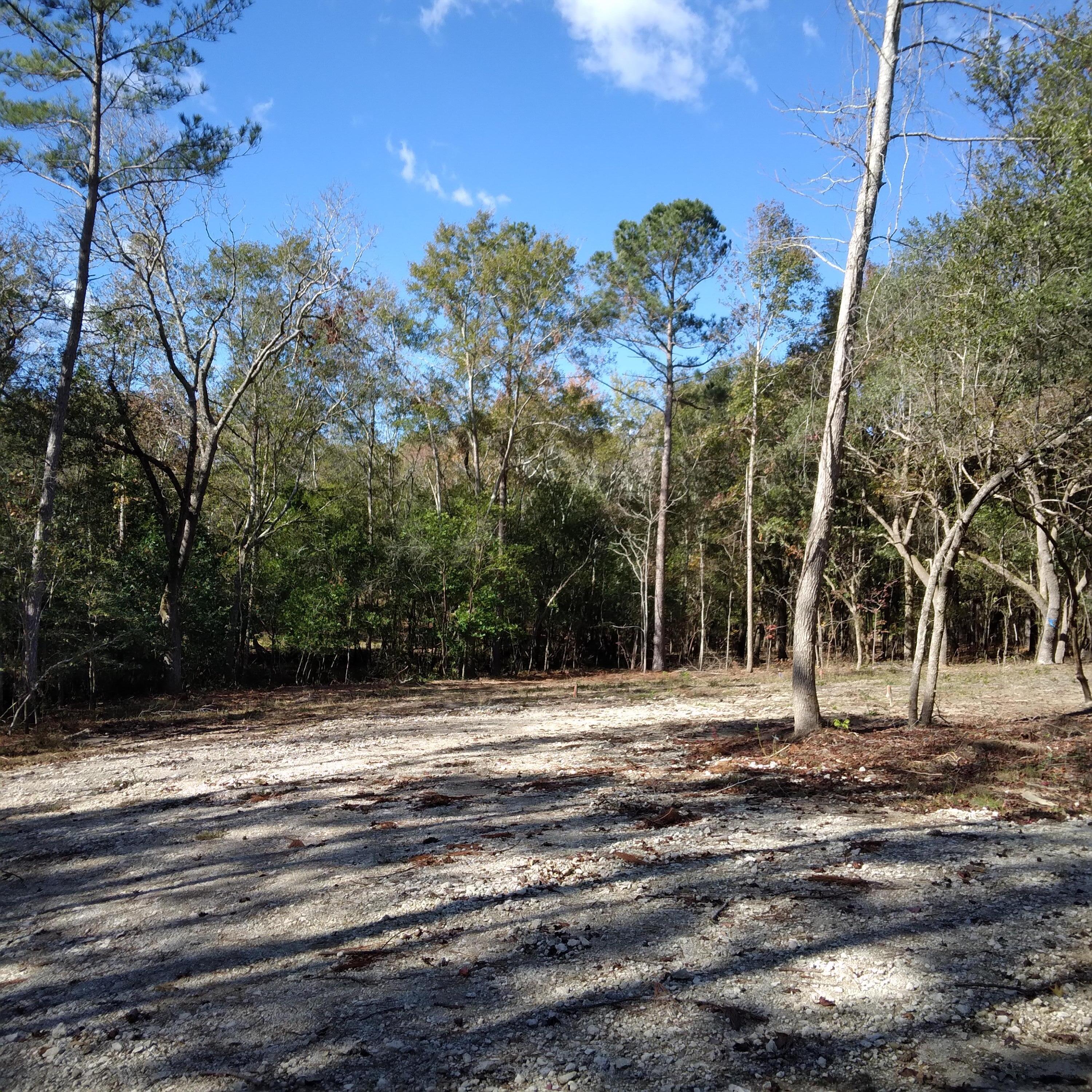 0 Coleman Bridge Road Aiken, SC 29805 - Photo 7 of 14