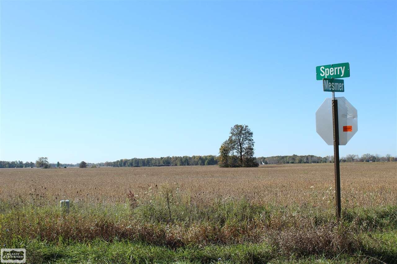 0 Sperry Allenton, MI 48002 - Photo 5 of 9