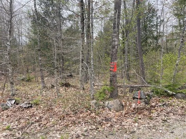 $139,900 | Lot 2 Leighton Corner Road, Sanbornville, NH 03872