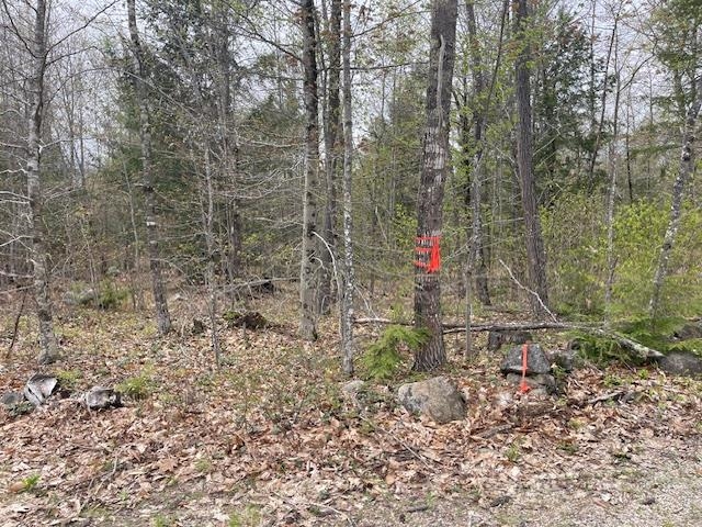 Lot 2 Leighton Corner Road Sanbornville, NH 03872 - Photo 12 of 12