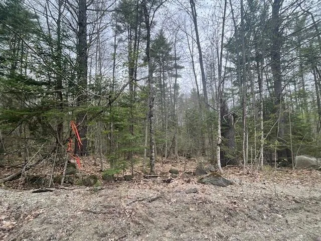 $139,900 | Lot 2 Leighton Corner Road, Sanbornville, NH 03872