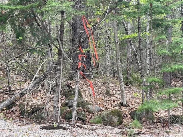 $139,900 | Lot 2 Leighton Corner Road, Sanbornville, NH 03872