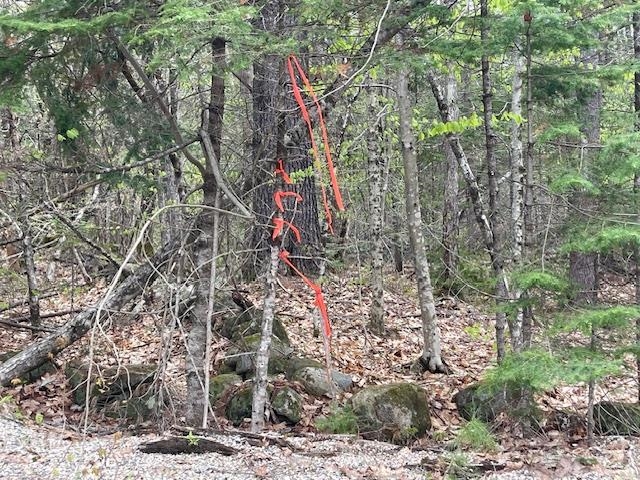 Lot 2 Leighton Corner Road Sanbornville, NH 03872 - Photo 5 of 12