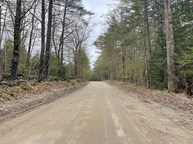 Lot 2 Leighton Corner Road Sanbornville, NH 03872 - Photo 6 of 12