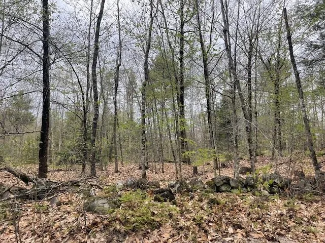 $139,900 | Lot 2 Leighton Corner Road, Sanbornville, NH 03872