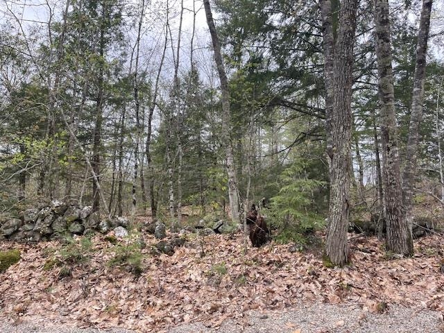 Lot 2 Leighton Corner Road Sanbornville, NH 03872 - Photo 10 of 12