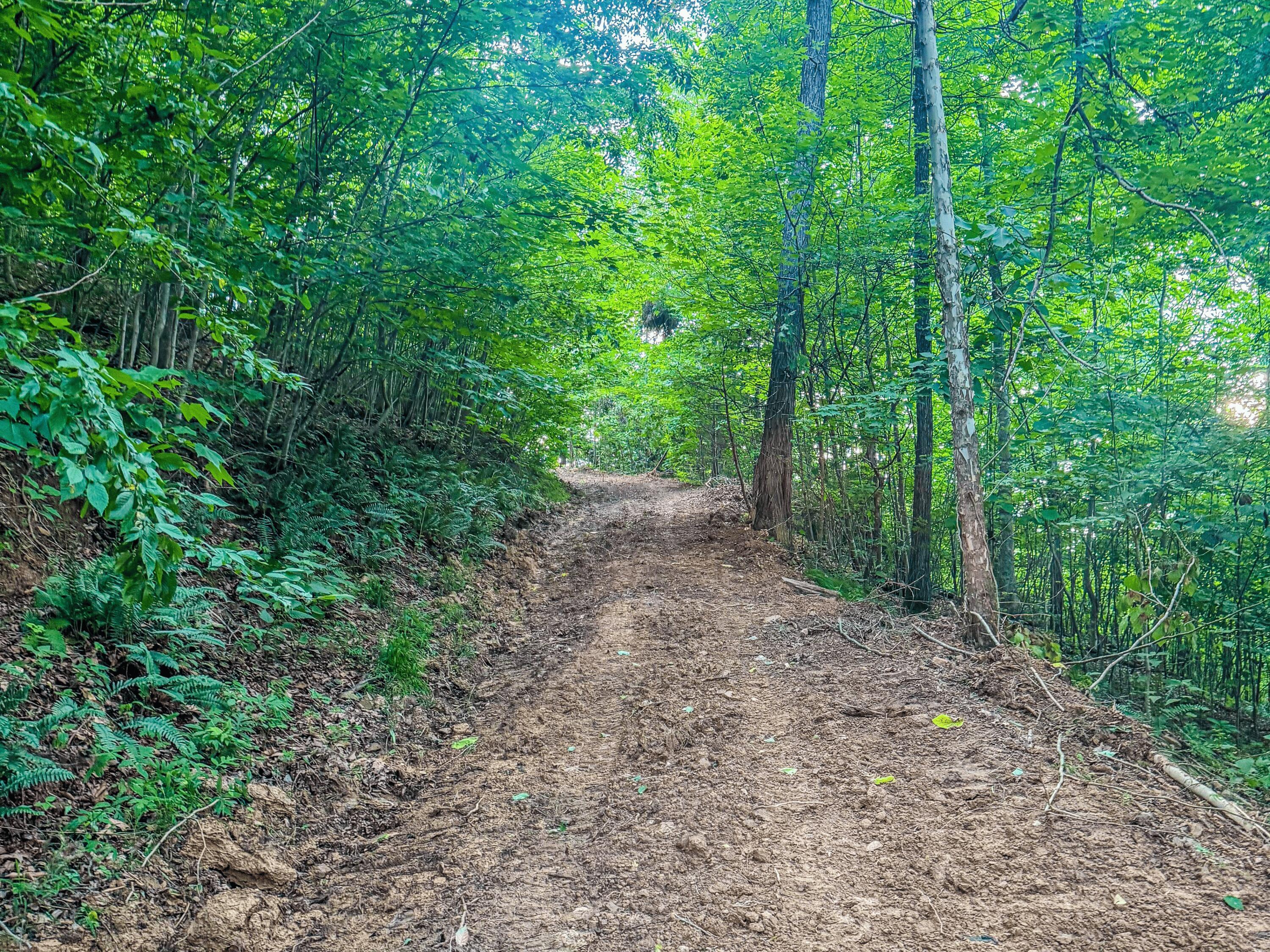 0 Millers Run-Back Run Road Lucasville, OH 45648 - Photo 20 of 24 20 - Trail System