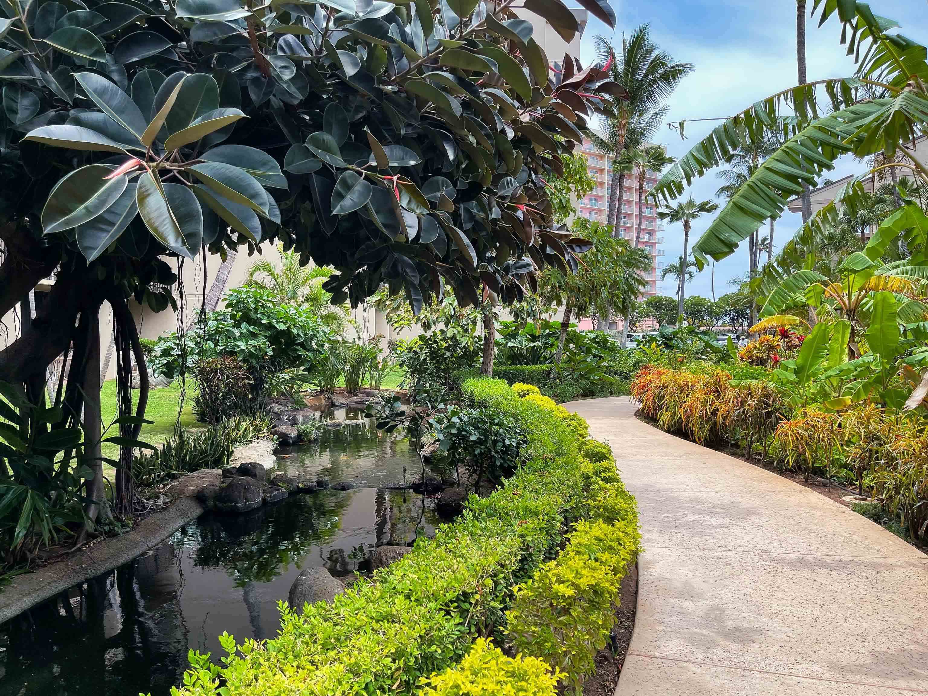 3445 Lower Honoapiilani Road, Unit 434 Lahaina, HI 96761 - Photo 40 of 46 a picture of plants