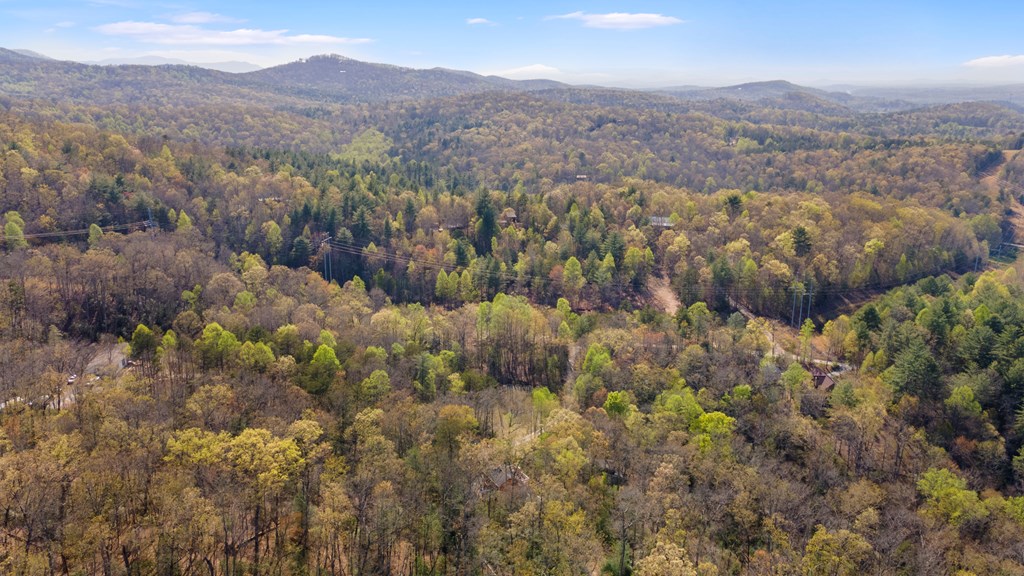 435 Richlen Rdg Road Morganton, GA 30560 - Photo 53 of 54 Gallery Image 53