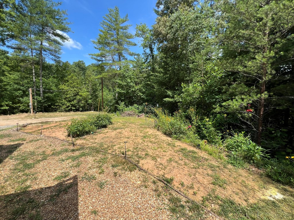 294 Pioneer Ests Road Murphy, NC 28906 - Photo 32 of 36 Lot view from sleeper cabin