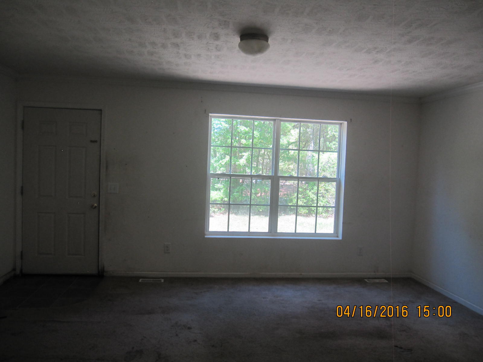 8339 Sugar Hill Road Hollywood, SC 29449 - Photo 3 of 9 IMG_1871