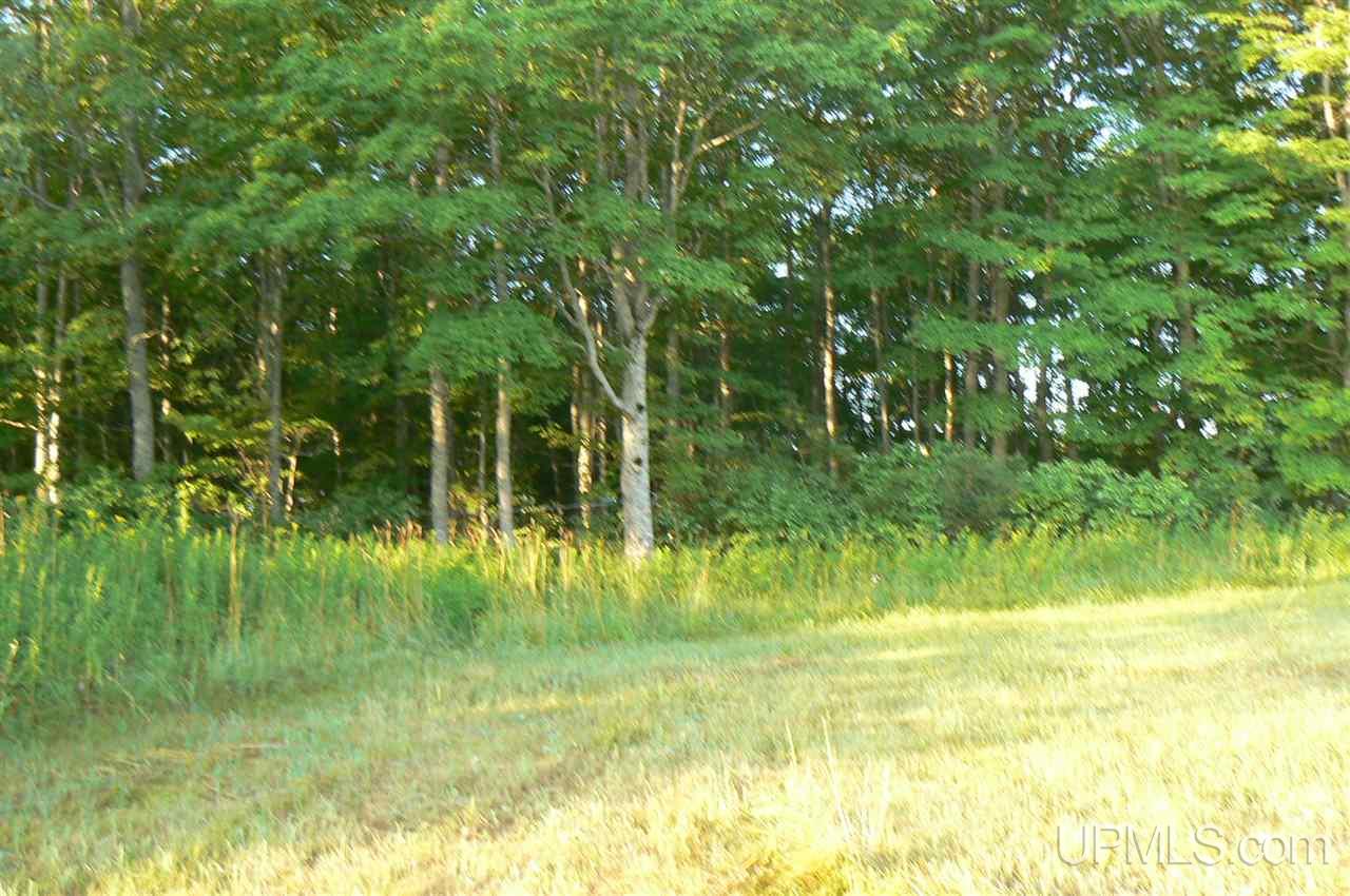 Tbd M94 Chatham, MI 49816 - Photo 2 of 5