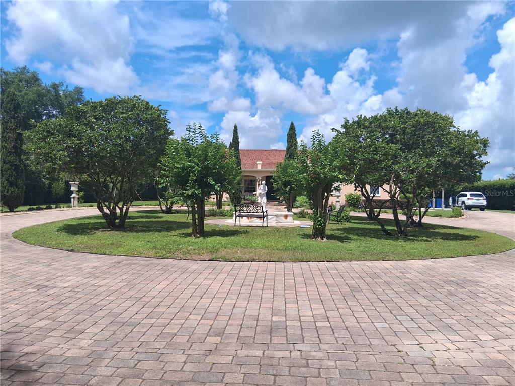 a view of a park with large trees and cars parked