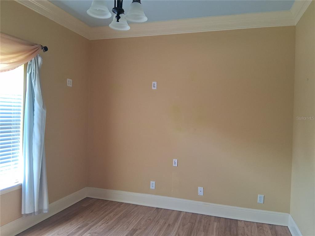 915 Old Welcome Road Lithia, FL 33547 - Photo 13 of 23 a view of an empty room