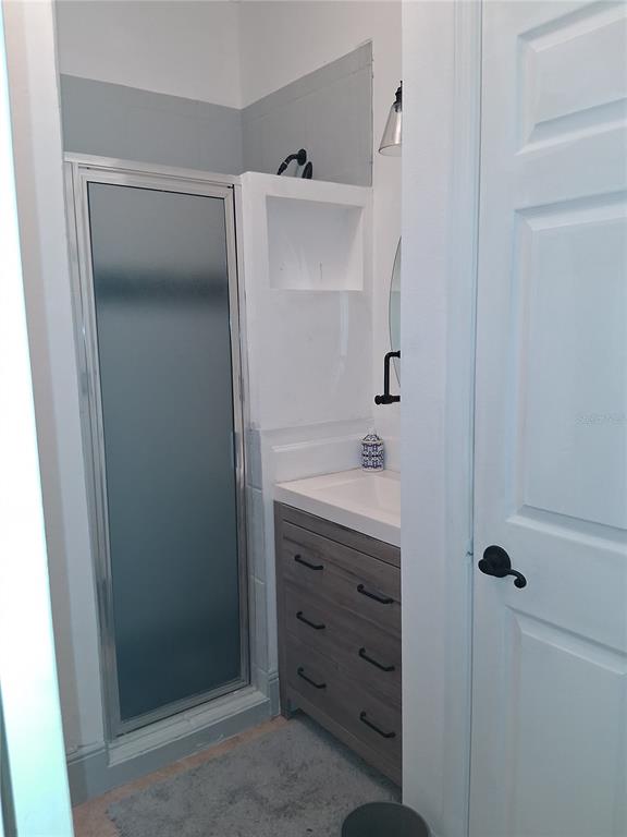 915 Old Welcome Road Lithia, FL 33547 - Photo 15 of 23 a bathroom with a shower sink and mirror