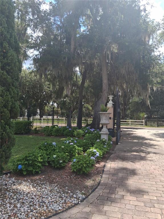 915 Old Welcome Road Lithia, FL 33547 - Photo 21 of 23 a view of a park with large trees