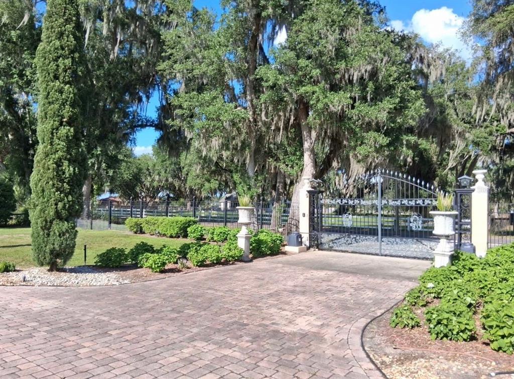 915 Old Welcome Road Lithia, FL 33547 - Photo 22 of 23 a garden view