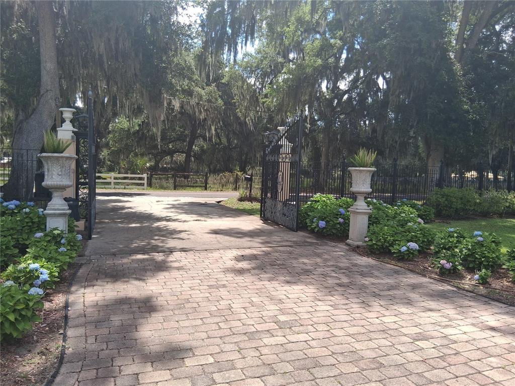 915 Old Welcome Road Lithia, FL 33547 - Photo 23 of 23 a view of a yard with plants and trees
