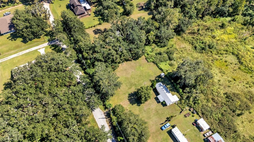 12941 Simpson Road Dover, FL 33527 - Photo 12 of 15