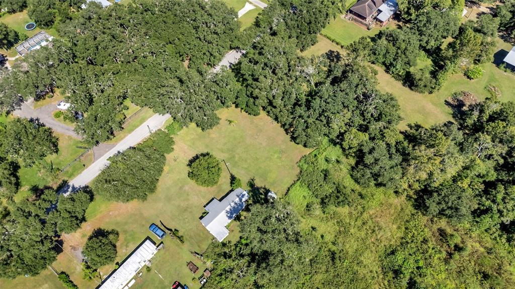 12941 Simpson Road Dover, FL 33527 - Photo 10 of 15