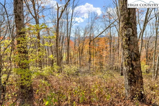 $89,900 | Lot 7 Fox Pointe Drive, Banner Elk, NC 28604
