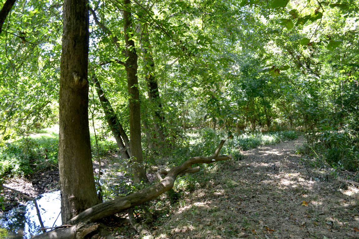 2744 Rob Taylor Road Lascassas, TN 37085 - Photo 13 of 30 Gallery Image 13