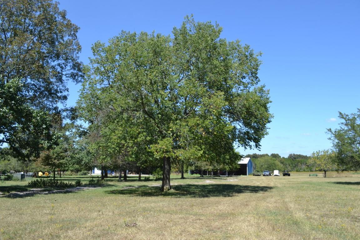 2744 Rob Taylor Road Lascassas, TN 37085 - Photo 16 of 30 Gallery Image 16