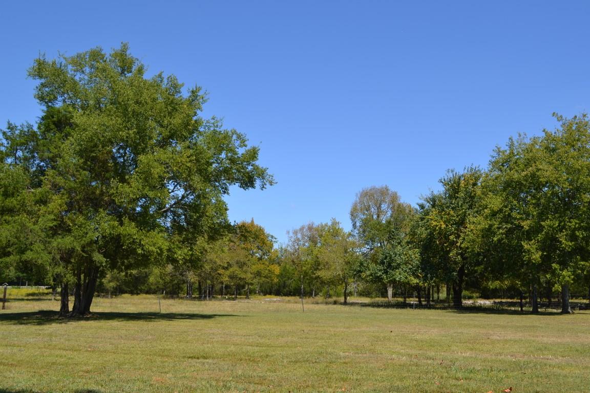 2744 Rob Taylor Road Lascassas, TN 37085 - Photo 17 of 30 Gallery Image 17