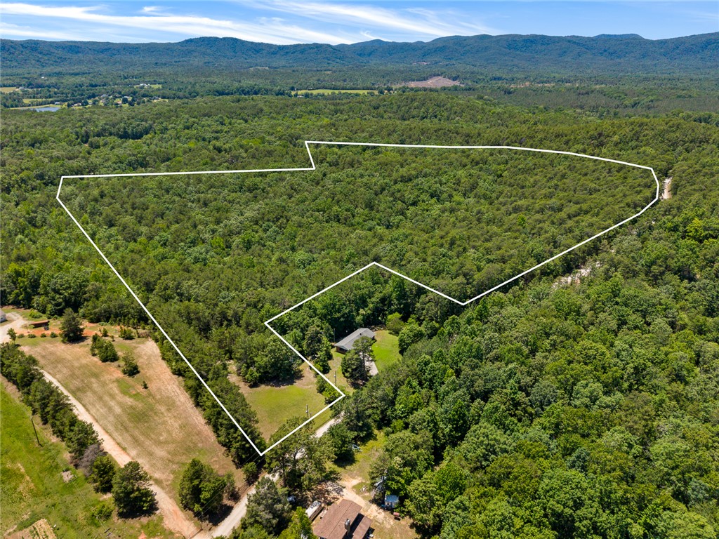 0 Pine Mountain Road Tamassee, SC 29686 - Photo 1 of 15