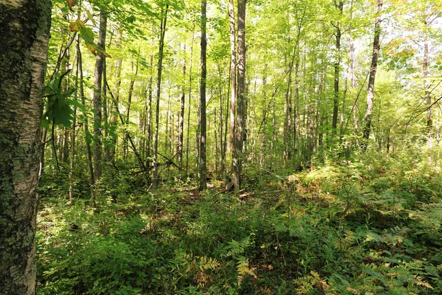 $170,000 | 0 West 10th Avenue, Washburn, WI 54891