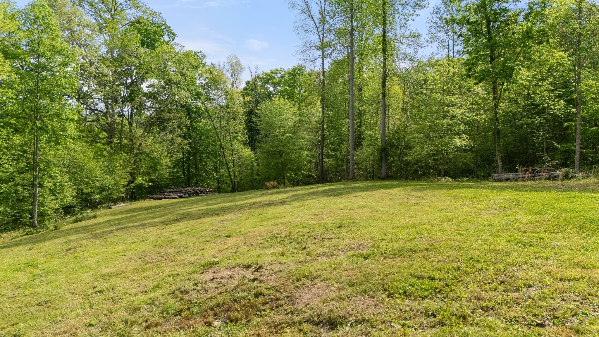 2113 Coolidge Road Lafayette, TN 37083 - Photo 11 of 17 a view of a yard with a house