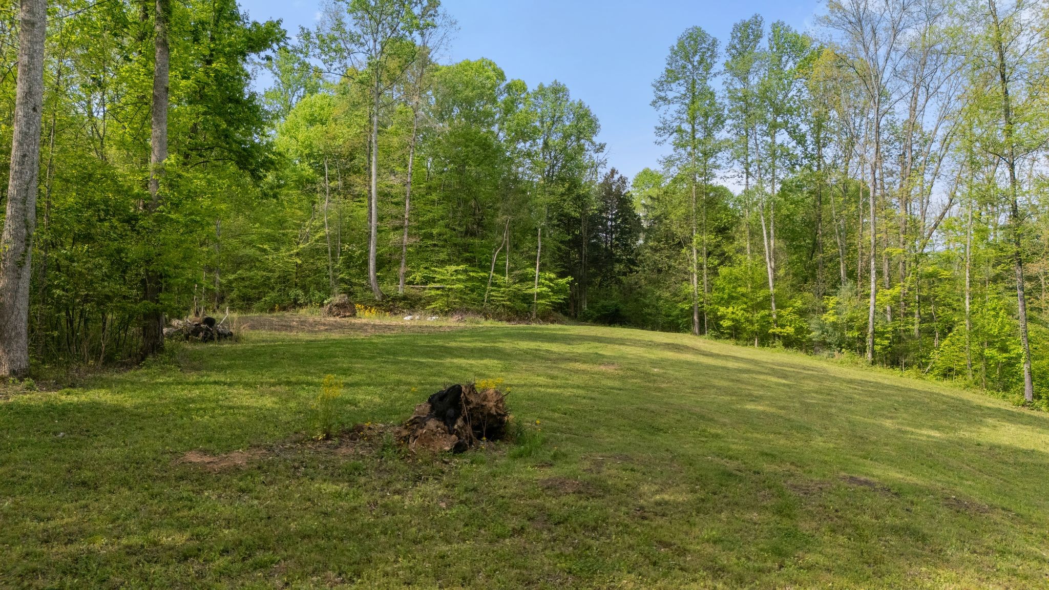2113 Coolidge Road Lafayette, TN 37083 - Photo 13 of 17 a view of a field with large trees