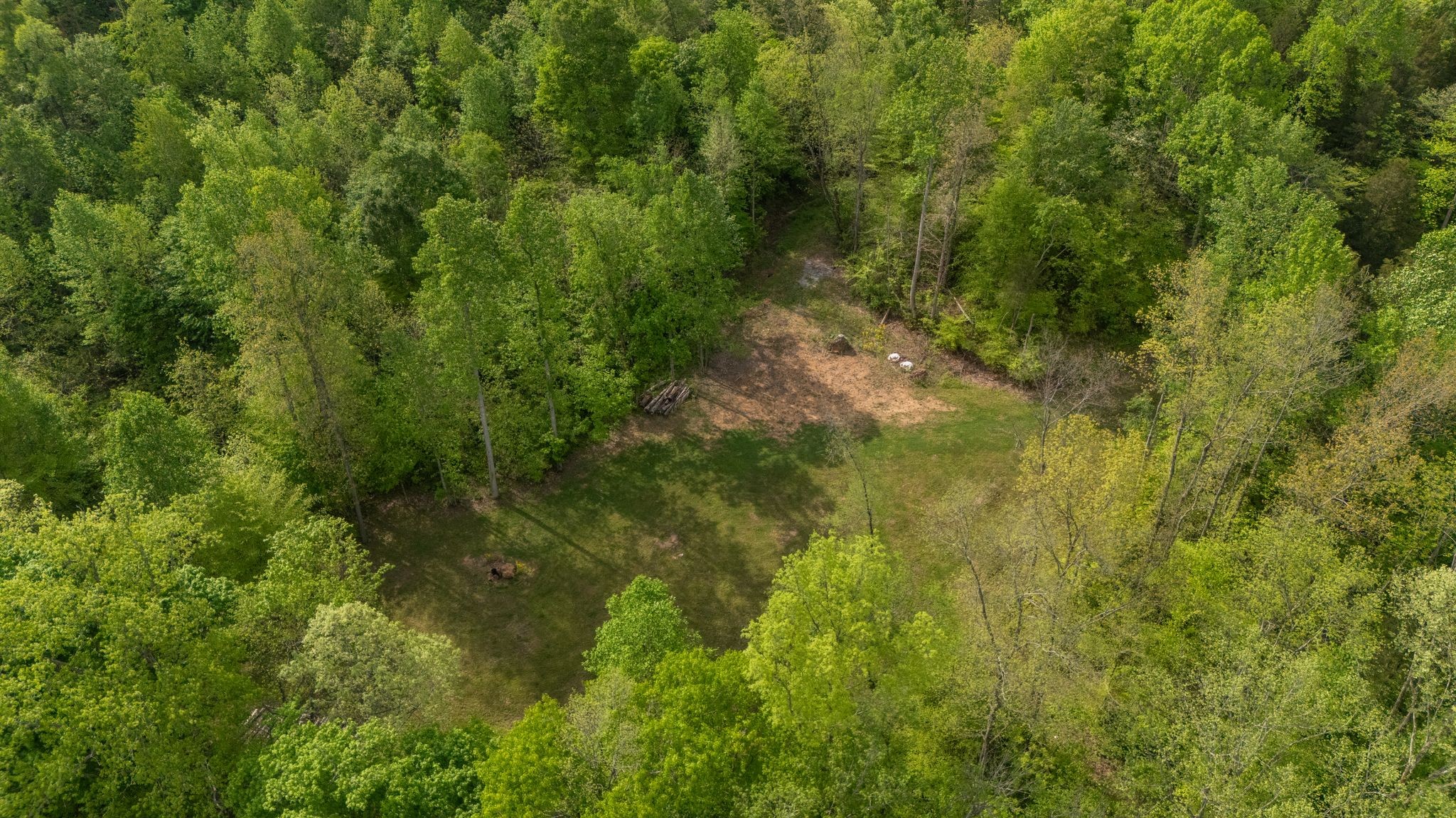 2113 Coolidge Road Lafayette, TN 37083 - Photo 3 of 17 a view of a lush green forest
