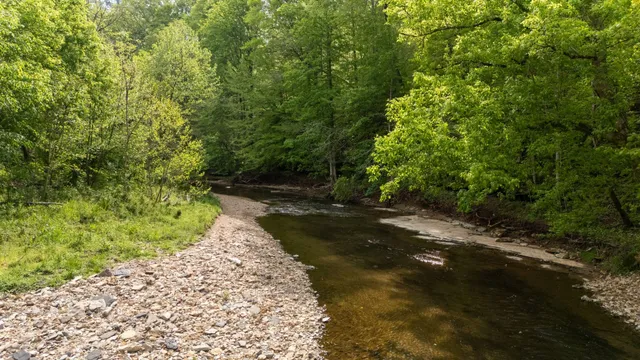 a view of a pathway both side of yard