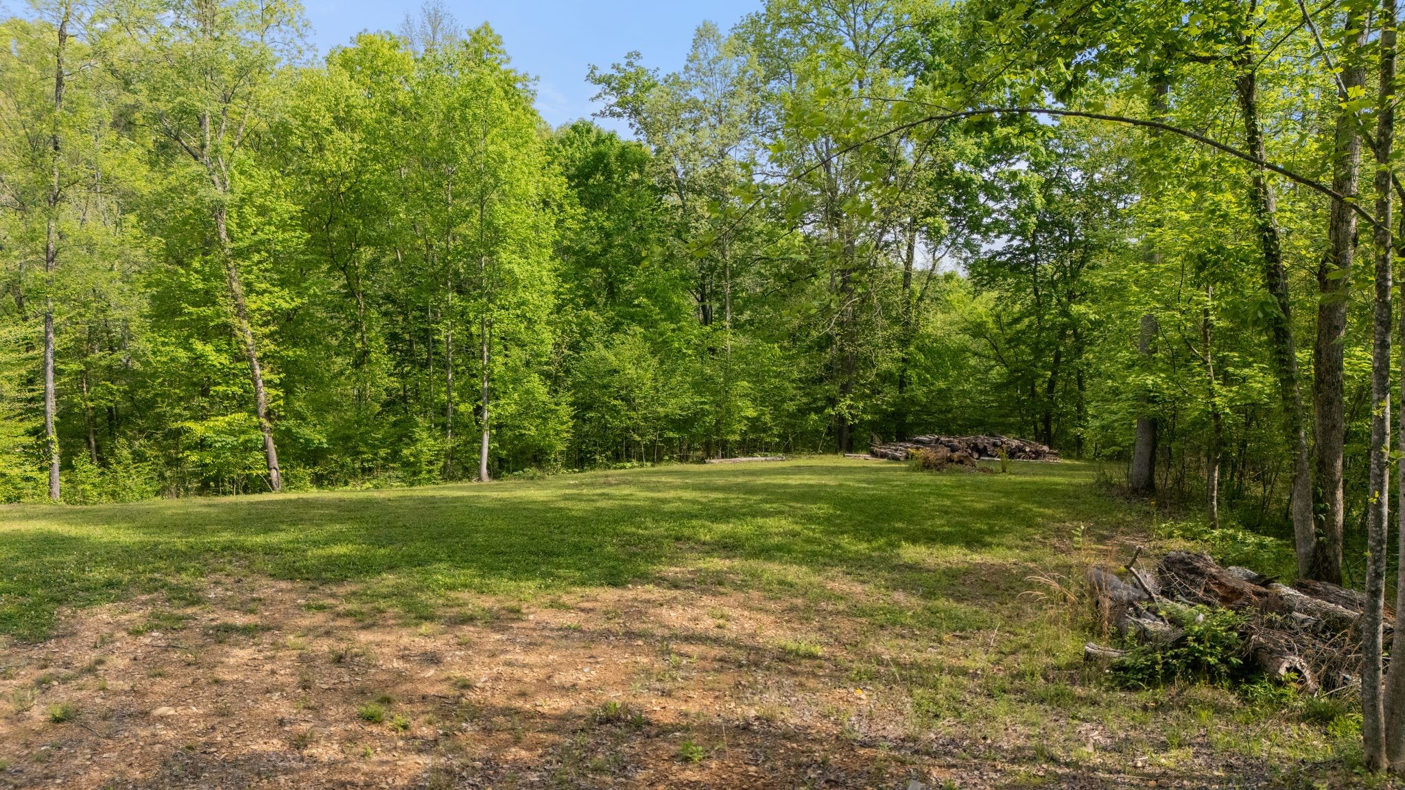 2113 Coolidge Road Lafayette, TN 37083 - Photo 9 of 17 a view of a grassy field with trees