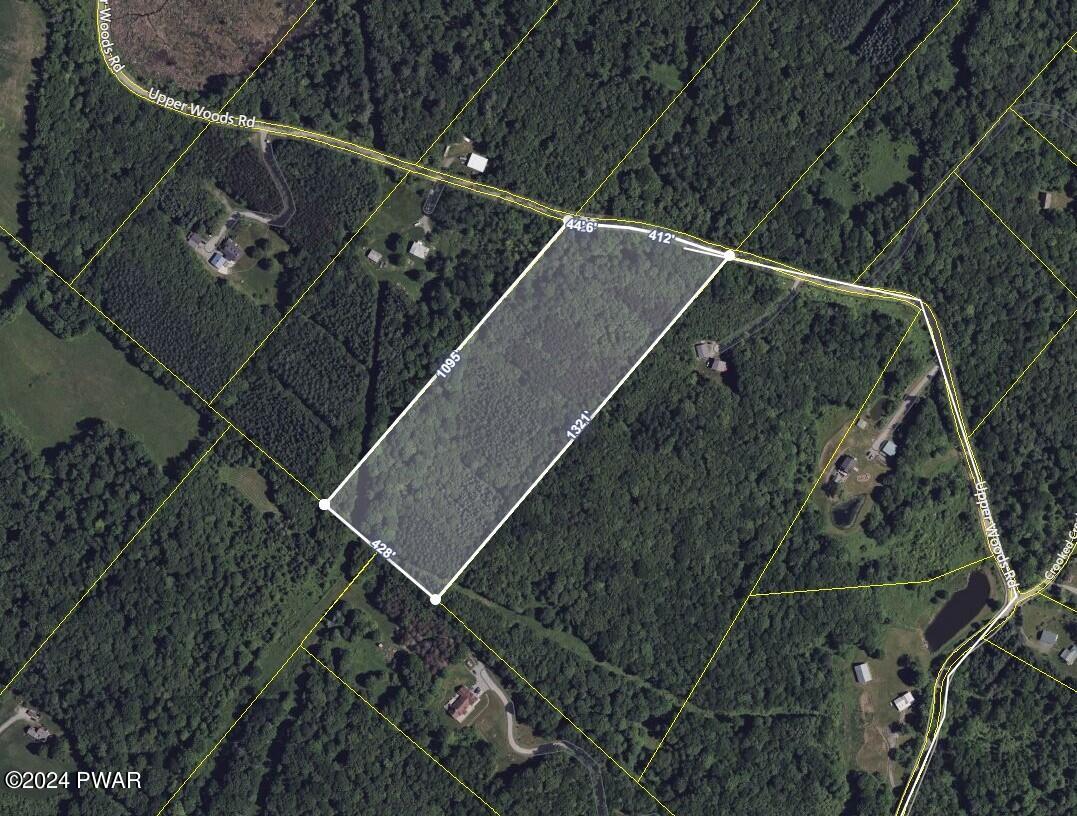 Upper Woods Road Pleasant Mount, PA 18453 - Photo 7 of 10
