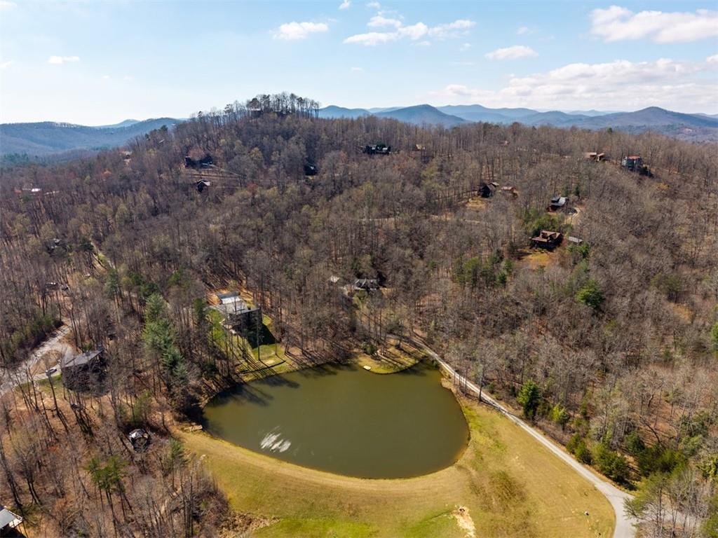 91 Whispering Lake Way Blue Ridge, GA 30513 - Photo 35 of 36