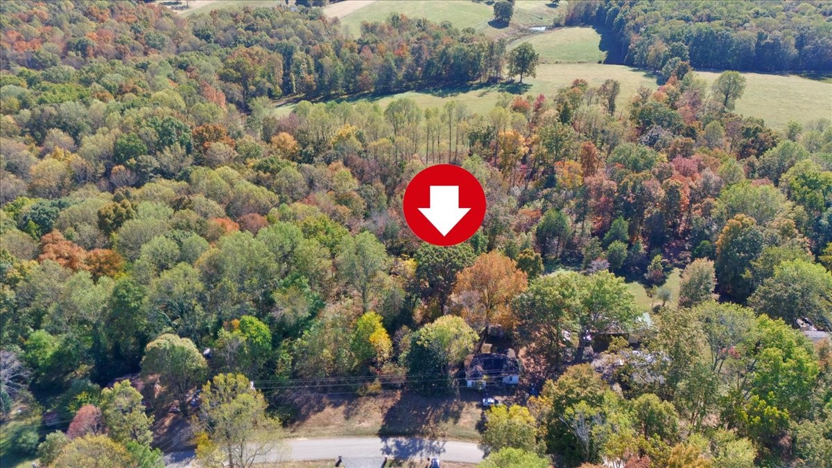 209 Carter Ridge Road Westmoreland, TN 37186 - Photo 3 of 4 Gallery Image 3