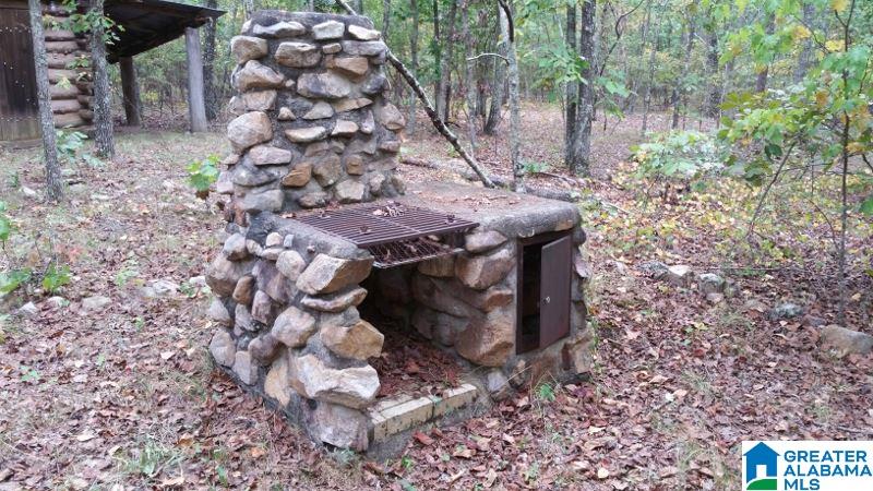 793 County Road Centre, AL 35960 - Photo 12 of 32