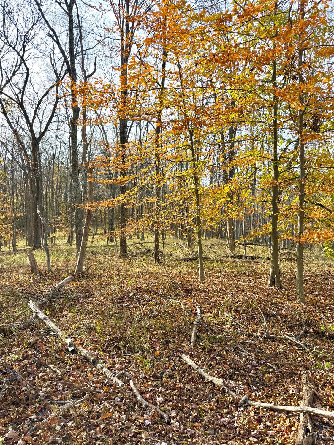 0 South Chenoweth Fork Road Piketon, OH 45661 - Photo 45 of 95