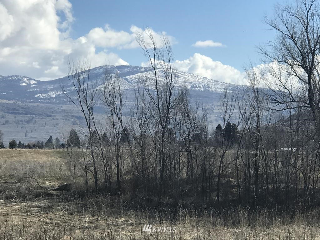 65 Nichols Road Omak, WA 98841 - Photo 5 of 18