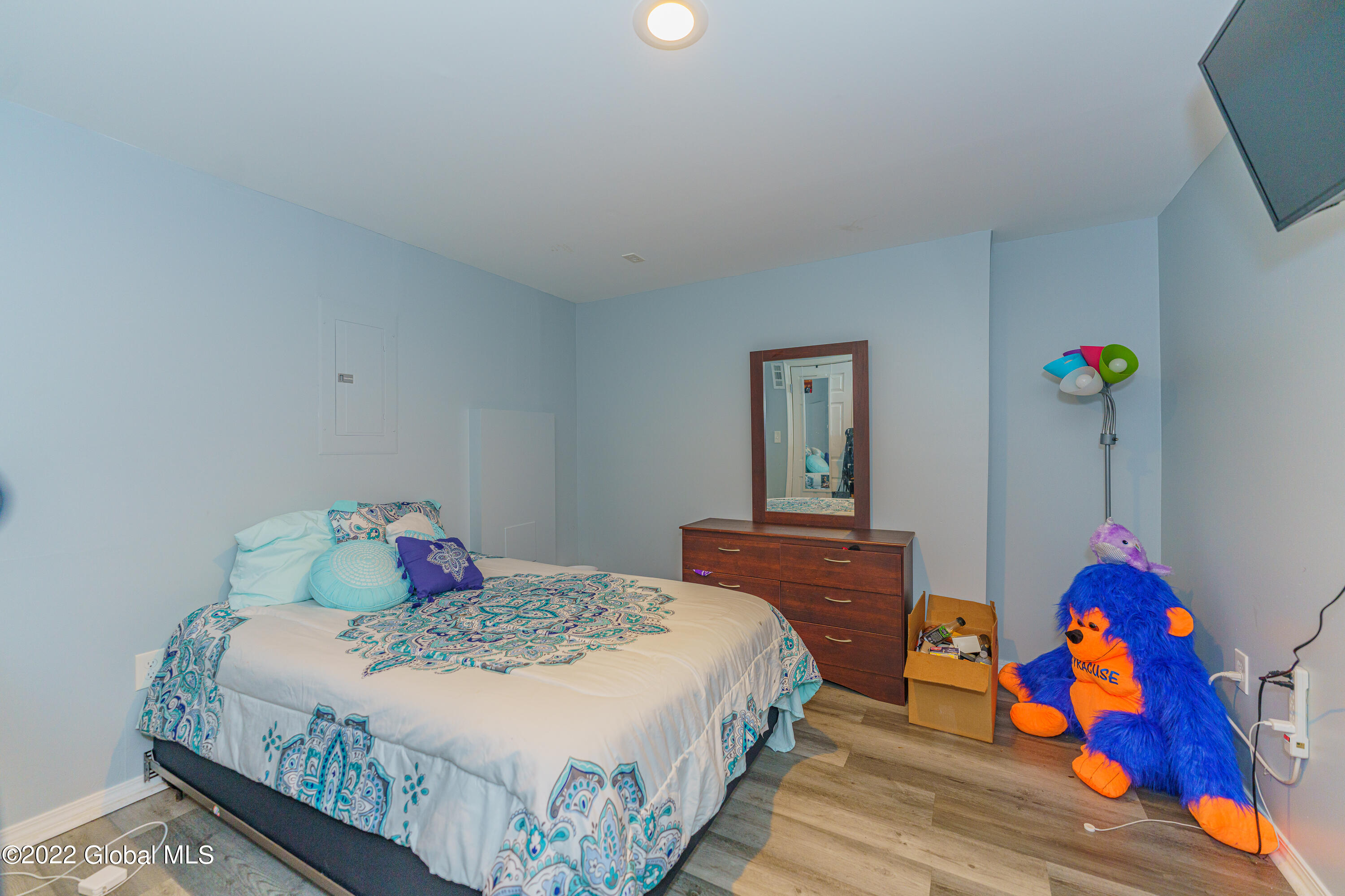 46 Heyden Road Troy, NY 12180 - Photo 17 of 27 5 Lower Level 5