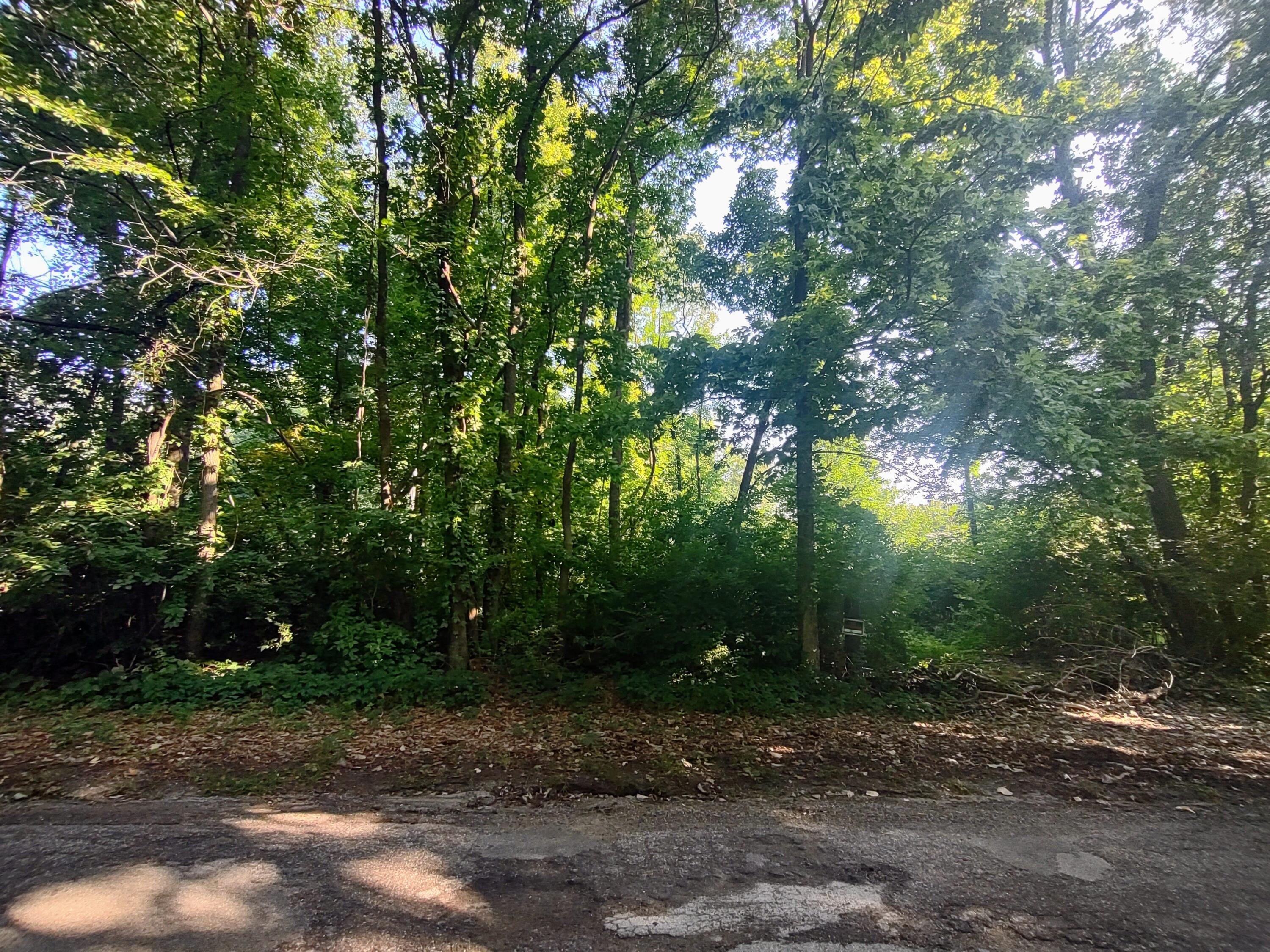 IMG_20230829_100052871_HDR