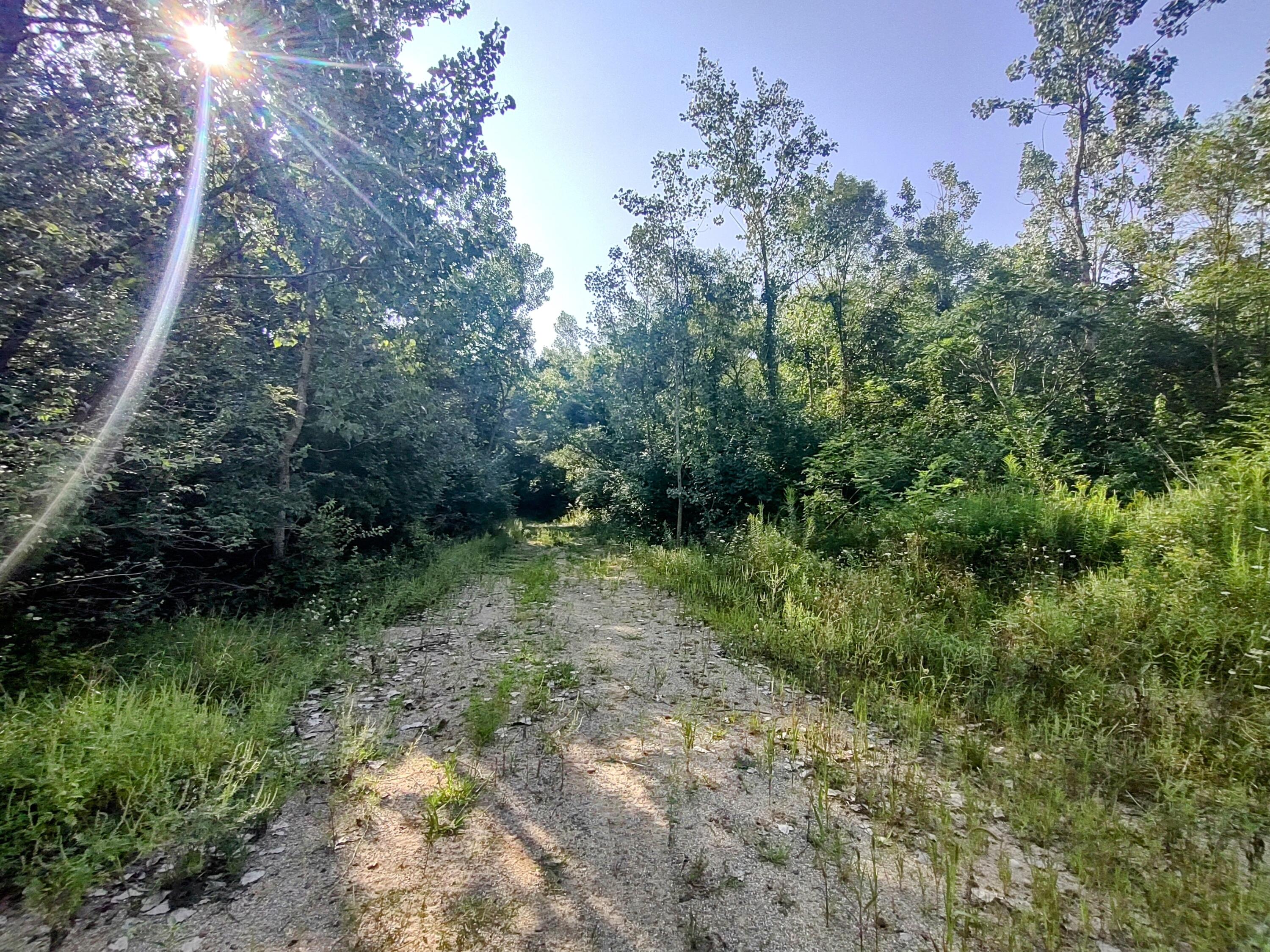 0 Chamberlain Road Buchanan, MI 49107 - Photo 16 of 30 IMG_20230829_101300393_HDR~2