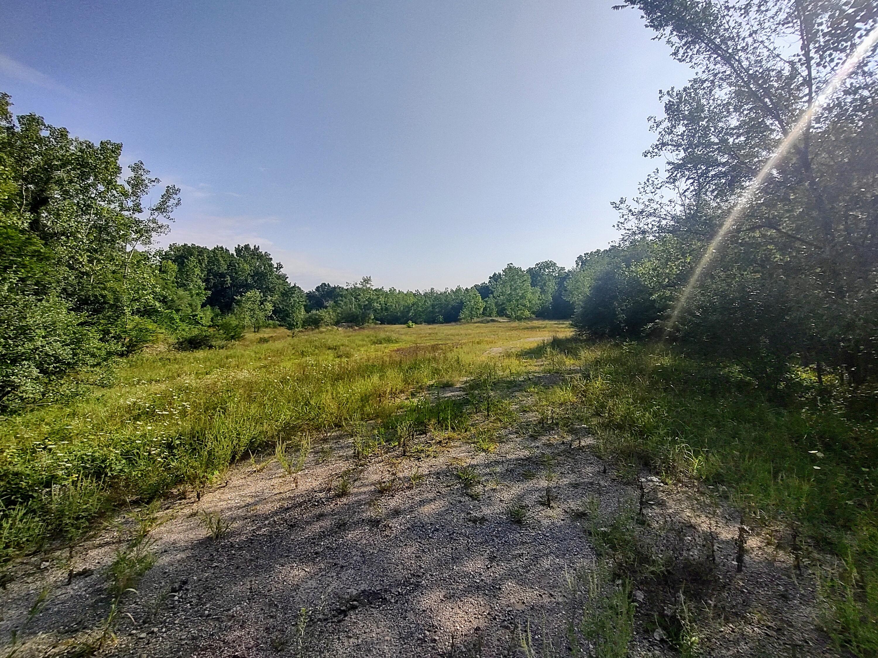 0 Chamberlain Road Buchanan, MI 49107 - Photo 18 of 30 IMG_20230829_101127845_HDR