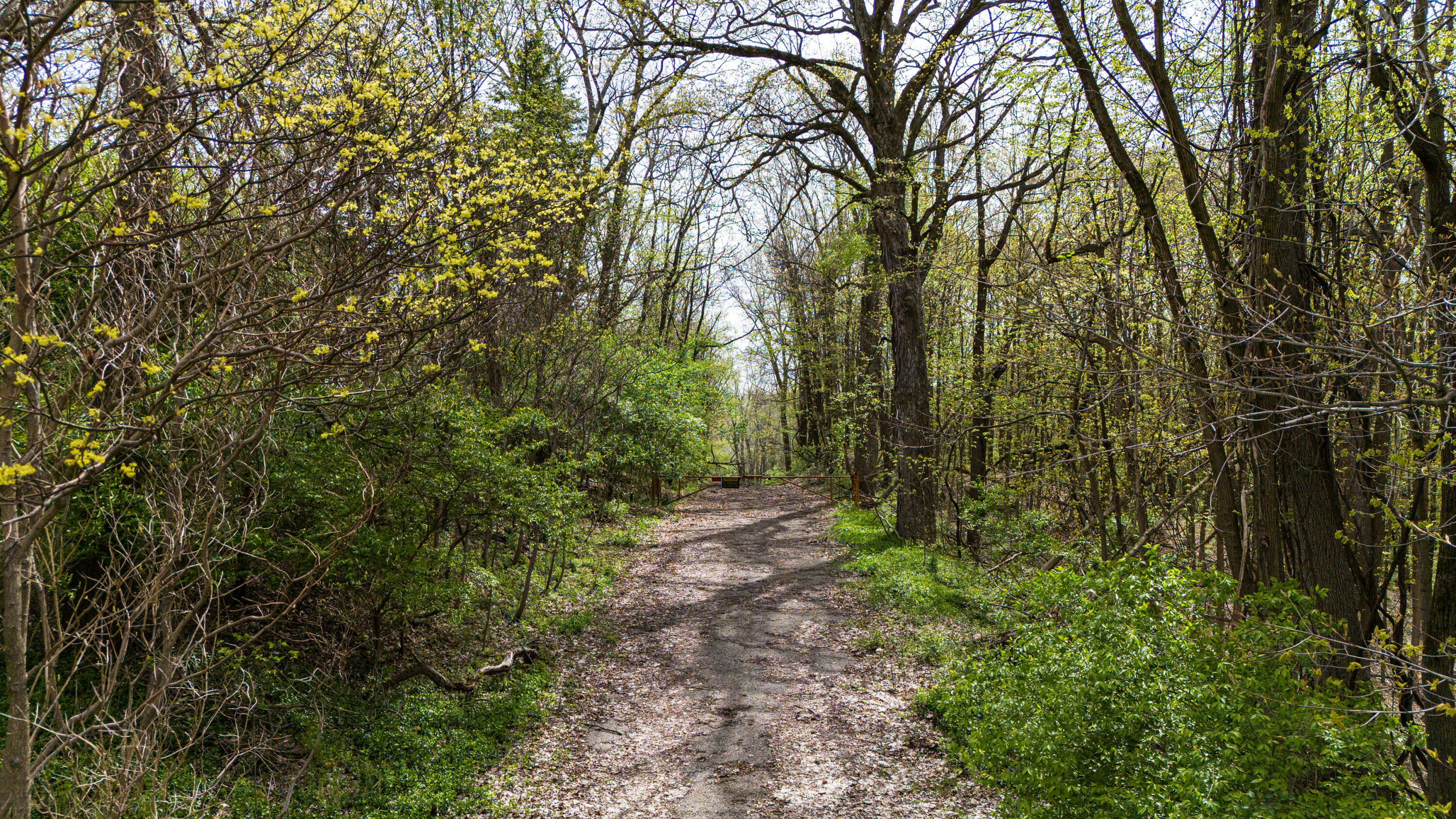 0 Chamberlain Road Buchanan, MI 49107 - Photo 20 of 30 DJI_20240426110659_0043_D
