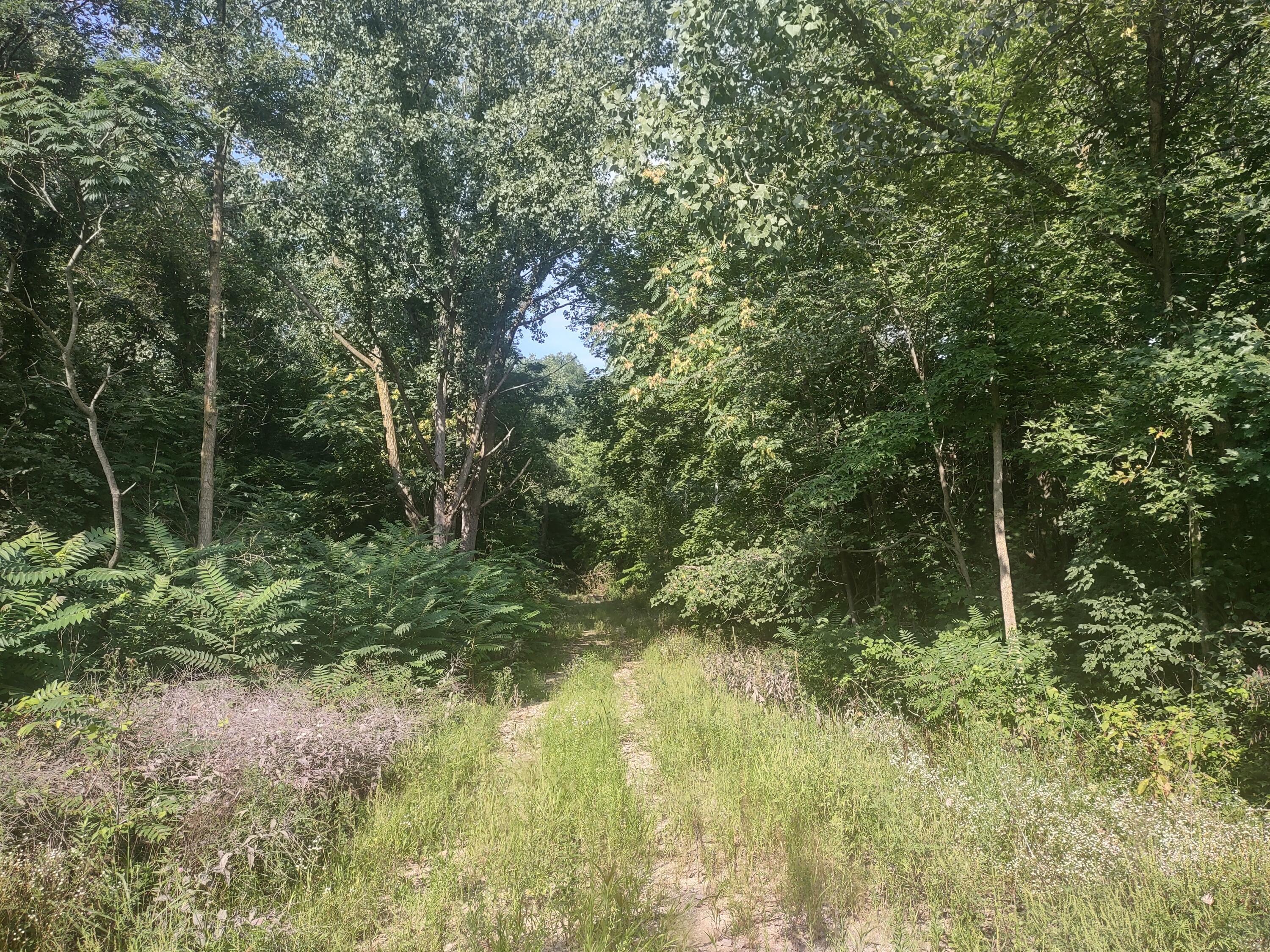 0 Chamberlain Road Buchanan, MI 49107 - Photo 9 of 30 IMG_20230829_101850542_HDR