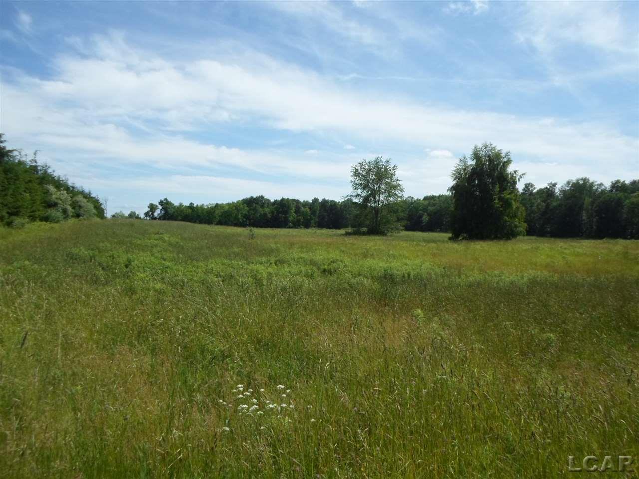 12000 Stephenson Road, Unit PARCEL A Brooklyn, MI 49230 - Photo 40 of 49