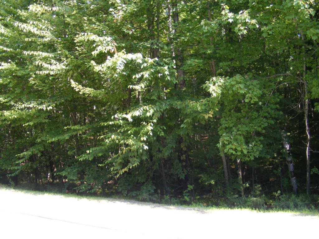 O O Sadie Lane/poor Farm Road Lyman, ME 04002 - Photo 2 of 6 Photo