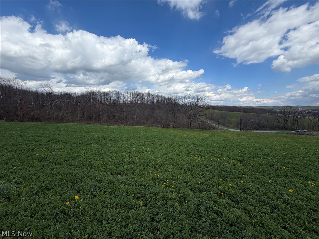177 Township Road Baltic, OH 43804 - Photo 7 of 10 Gallery Image 7